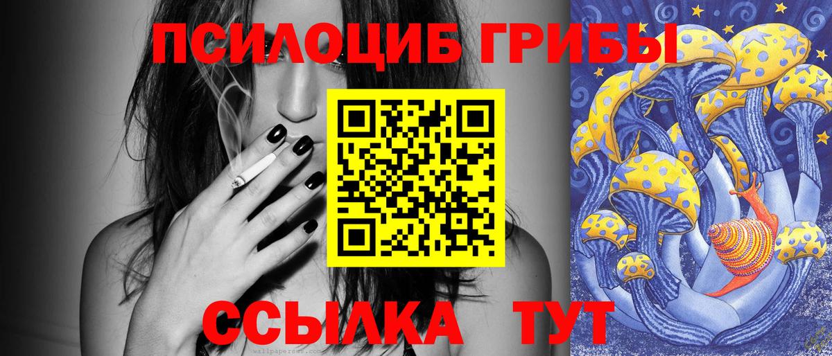 Магадан  Псилоцибиновые грибы Psilocybine cubensis  Вход с VPN 